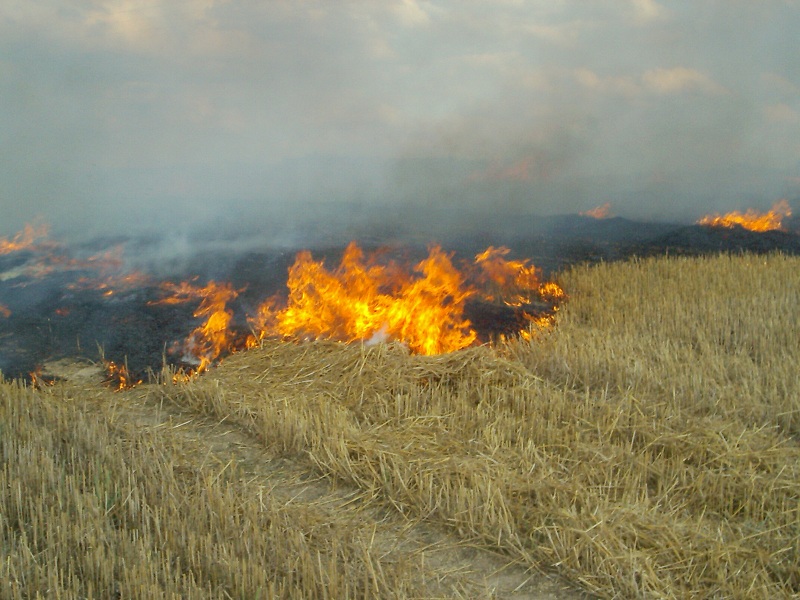 13. 08. 2012 - Bobrová - požár strniště