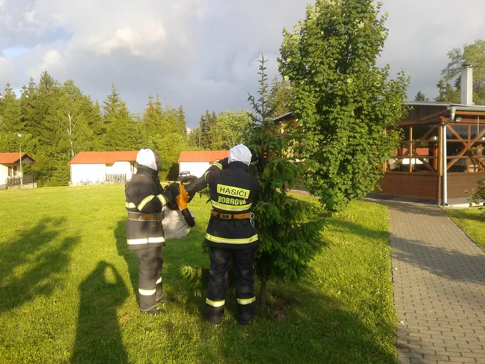 28. 05. 2014 - Moravec - technická pomoc (odstranění nebezpečného roje včel)